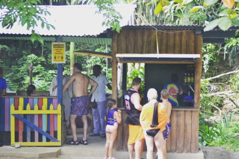 Blue Hole Secret Falls and Bob Marley Nine Mile Private Tour - The Journey Between and Beyond