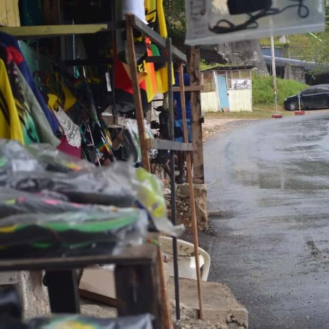 Blue Hole Secret Falls and Bob Marley Nine Mile Private Tour - What You’ll Love About This Tour