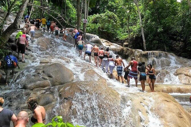 Blue Hole, Secret Falls, and Dunn's River Falls Combo Tour - The Itinerary and What to Expect