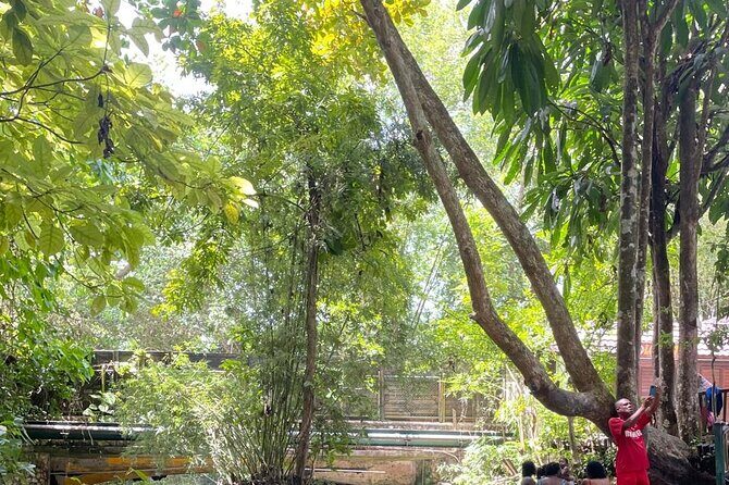 Blue Hole, Secret Falls, and Dunn's River Falls Combo Tour - The Sum Up