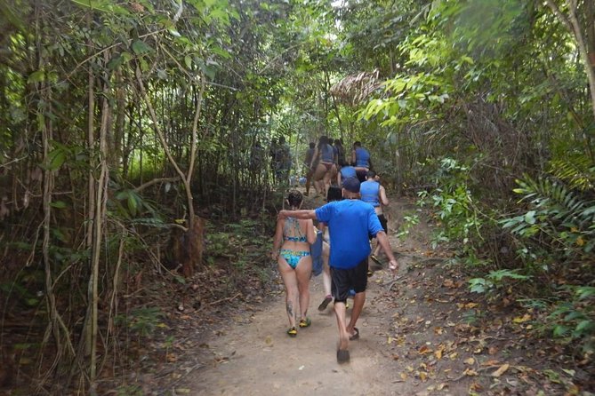 Blue Hole Waterfalls Tour From Falmouth - Tour Type