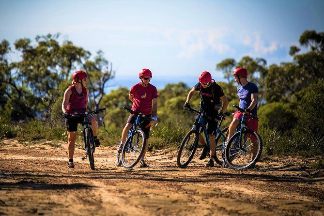Blue Labyrinth PRIVATE Tour: Sydney Blue Mountains by E-Bike - An In-Depth Look at the Tour
