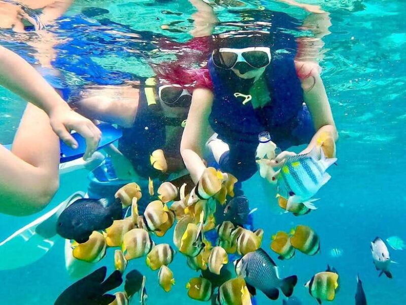 Blue Lagon Snorkeling, Waterfall, and Celuk Village Tour - Introduction