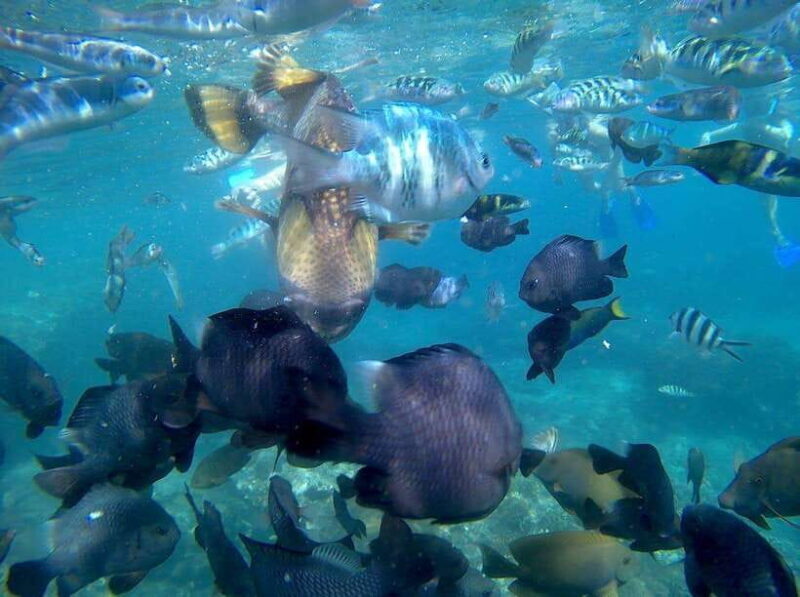 Blue Lagon Snorkeling, Waterfall, and Celuk Village Tour - Key Points