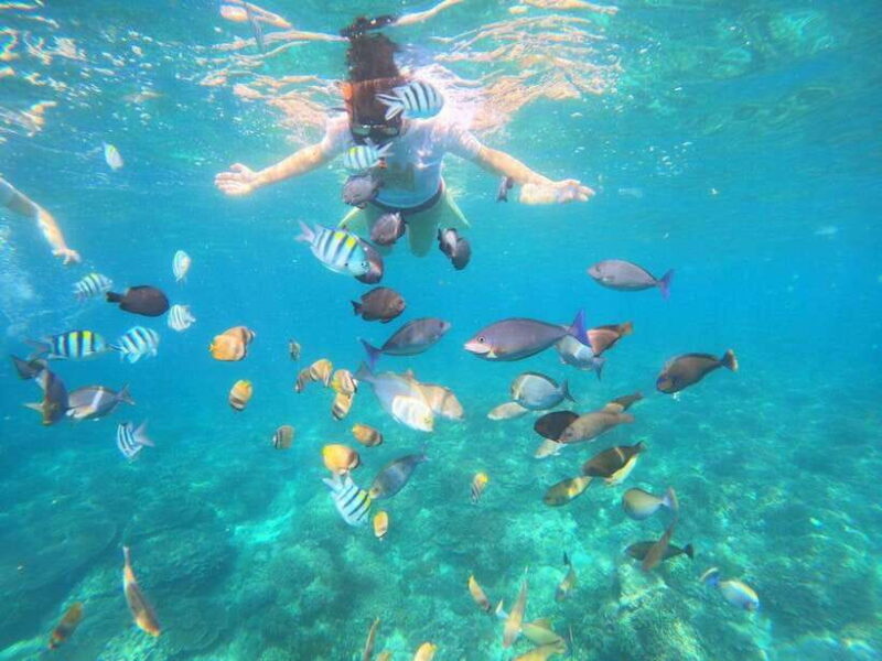 Blue Lagon Snorkeling, Waterfall, and Celuk Village Tour - FAQ