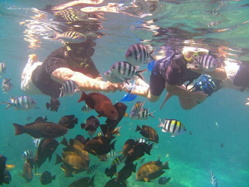 Blue Lagoon and Tanjung Jepun Snorkeling Tour - Final Thoughts