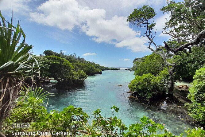 Blue Lagoon Express Bus - A Deep Dive into the Experience