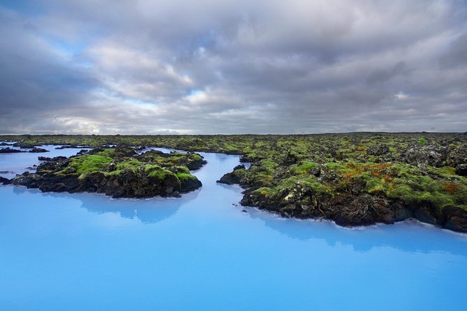 Blue Lagoon Return Bus Transfer From Reykjavik - Customer Feedback Highlights