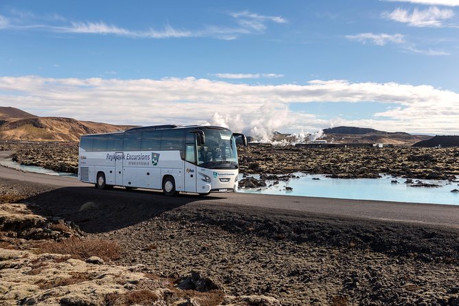 Blue Lagoon Return Bus Transfer From Reykjavik - Accessibility Information