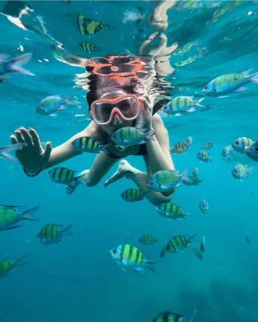 Blue Lagoon, Tanjung Jepun Snorkeling & Hidden Waterfall - Key Points