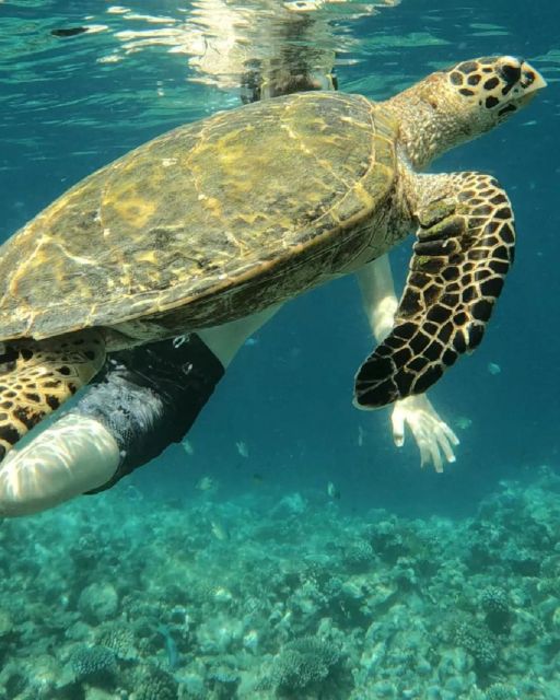 Blue Lagoon, Tanjung Jepun Snorkeling & Hidden Waterfall - Inclusions