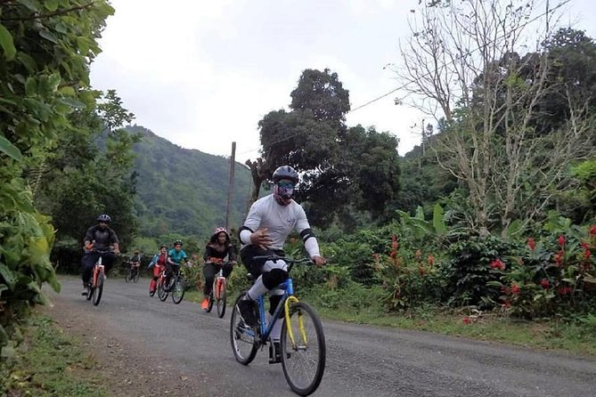 Blue Mountain Bicycle Tour From Kingston - Participant Information