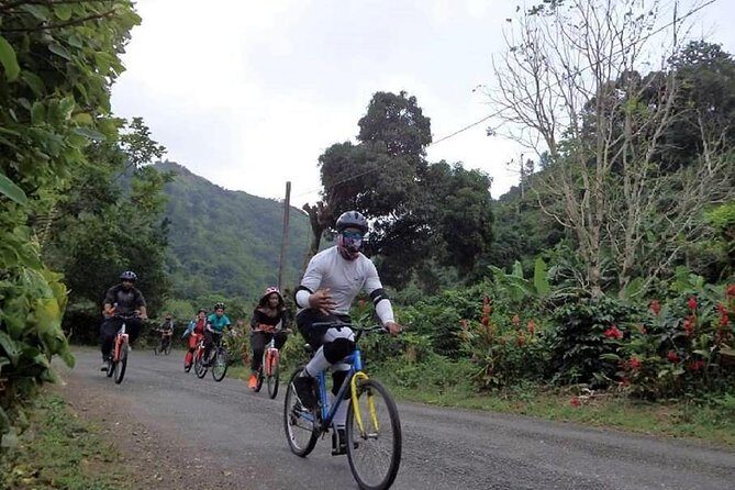 Blue Mountain Bicycle Tour from Ocho Rios - Who Should Consider This Tour?