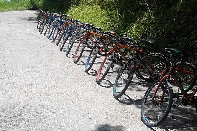 Blue Mountain Bicycle Tour from Ocho Rios - The Sum Up