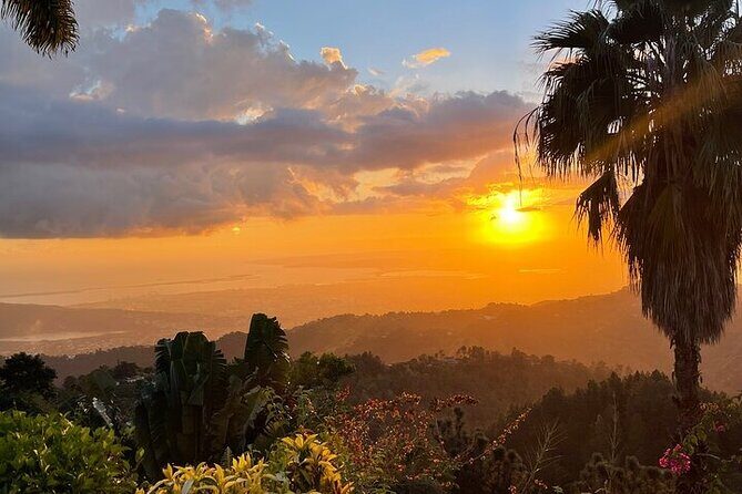 Blue Mountain Coffee, Bob Marley and Art Tour from Montego Bay - Frequently Asked Questions