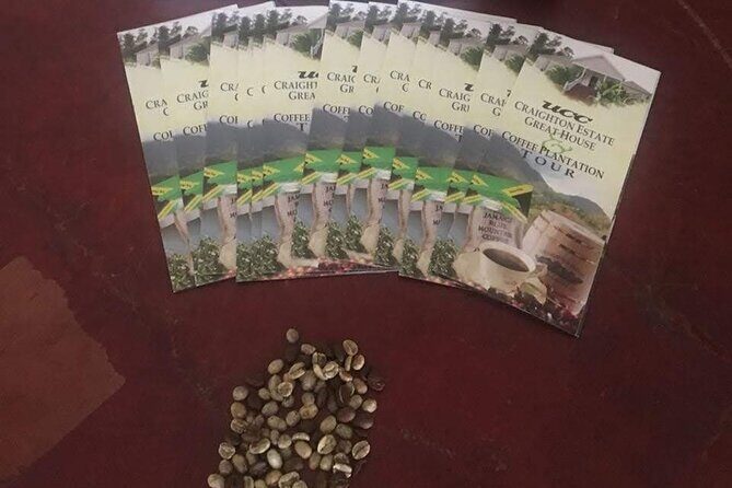 Blue Mountain Coffee Hike and Tour - The Experience: What Travelers Say