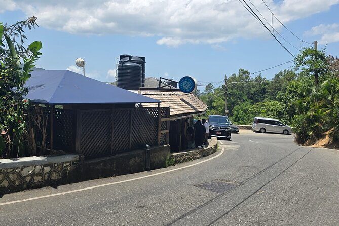 Blue Mountain Coffee Hike and Tour - Who Will Love This Tour?