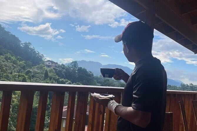 Blue Mountain Highlights Experience - Who This Tour Is Best For