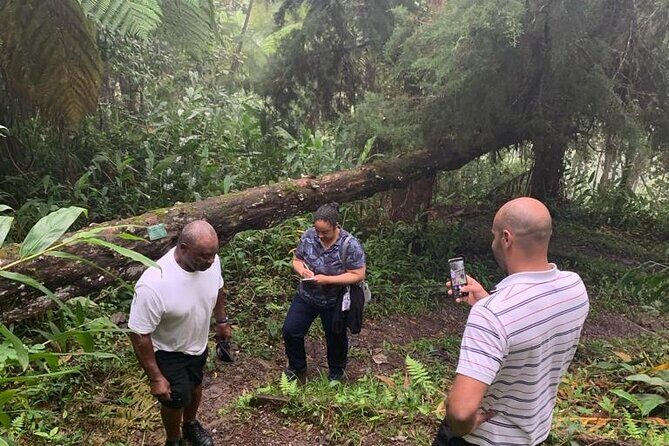 Blue Mountain Peek, and Site Seeing - Hidden Waterfalls and Scenic Views