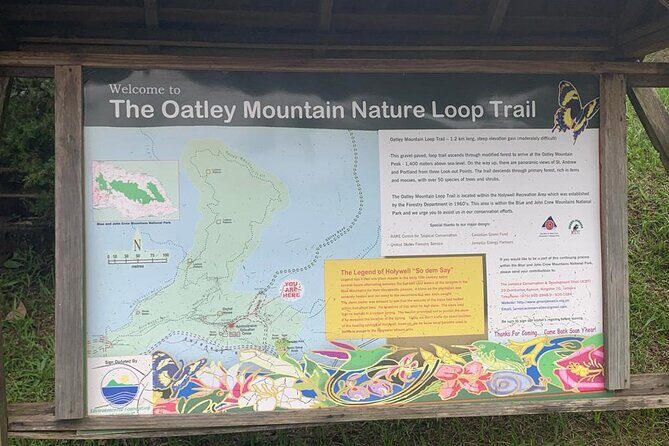 Blue Mountain Peek, and Site Seeing - Transportation and Comfort