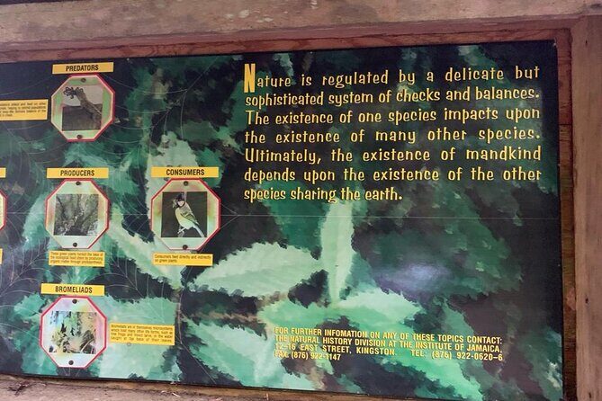 Blue Mountain Peek, and Site Seeing - Authenticity and Reviewer Feedback