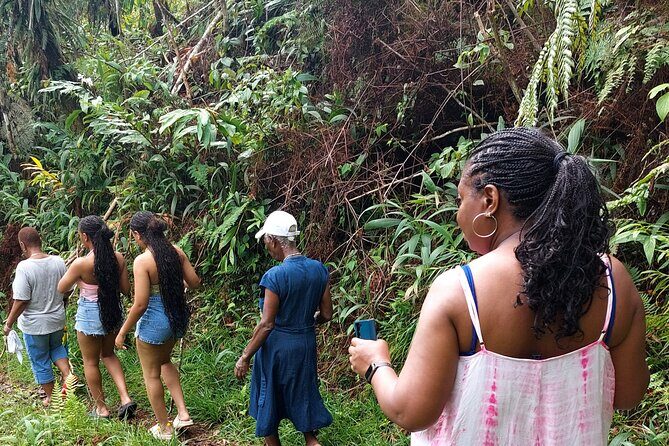 Blue Mountain Sight-Seeing & Nature Trail Hike with Private Guide - Key Points  