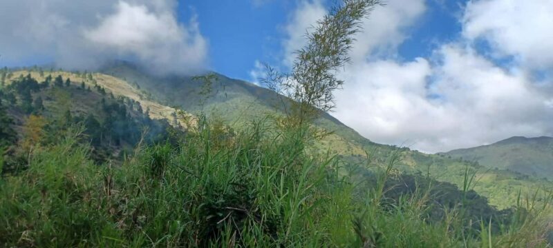 BLUE MOUNTAIN TOUR FROM OCHO RIOS - What Travelers Are Saying