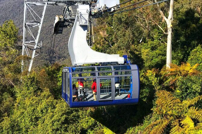 Blue Mountain Tour with Hop on and Hop Off Bus - The Sum Up