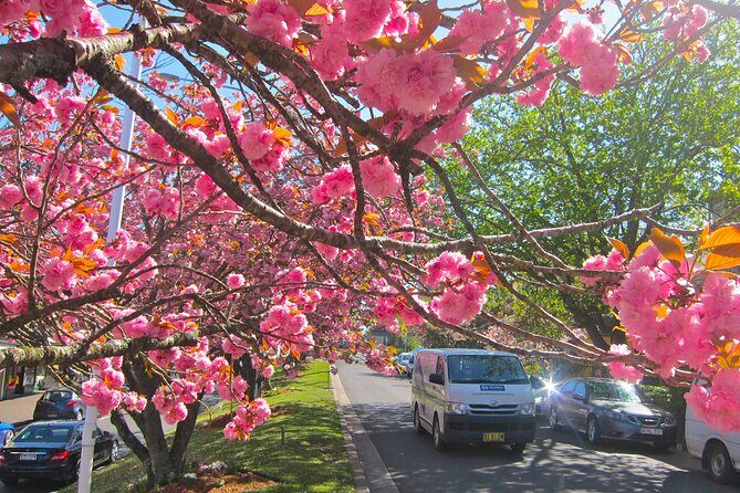 Blue Mountain Tour with Hop on and Hop Off Bus - FAQ