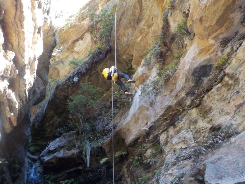 Blue Mountains: Abseiling and Canyoning Experience - FAQ