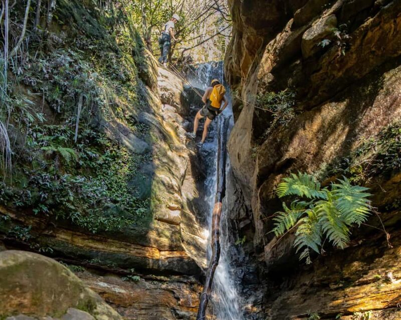Blue Mountains: Abseiling and Juggler Canyon Adventure Tour - Authentic Feedback