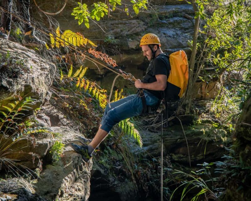 Blue Mountains: Abseiling and Juggler Canyon Adventure Tour - Who Is This Tour Perfect For?