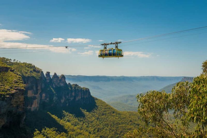 Blue Mountains Adventure: Scenic World, Zoo & Koala Photo - Key Points
