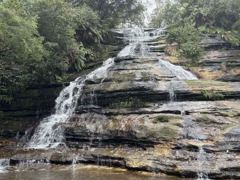 Blue Mountains Adventure: Scenic World, Zoo & Koala Photo - Final Thoughts