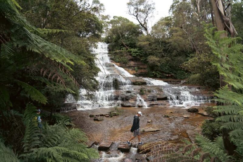 Blue Mountains Adventure: Scenic World, Zoo & Koala Photo - Experience Provider
