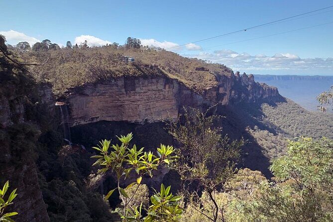 Blue Mountains and Australian Native Animals - Who Should Consider This Tour?