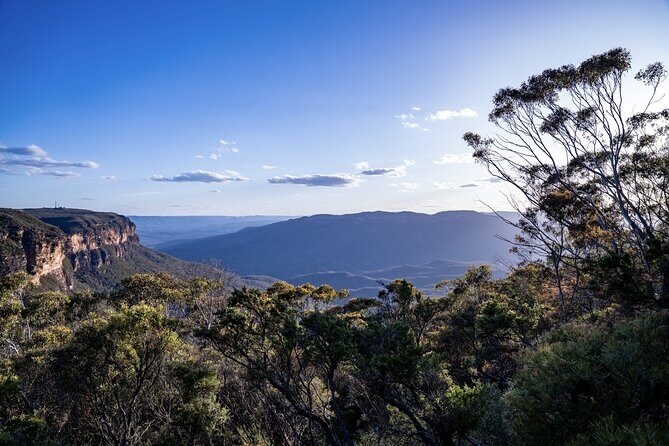 Blue Mountains and Australian Native Animals - Final Thoughts
