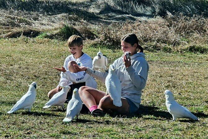 Blue Mountains and Wildlife Truly Private Luxury Tour - FAQ