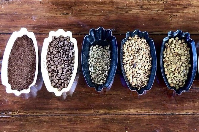 Blue Mountains Coffee Private Tour from Kingston - Key Points