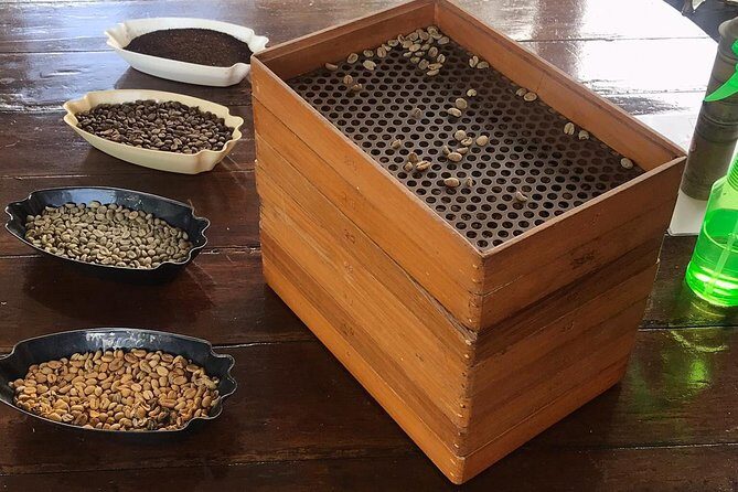 Blue Mountains Coffee Private Tour from Kingston - Introduction