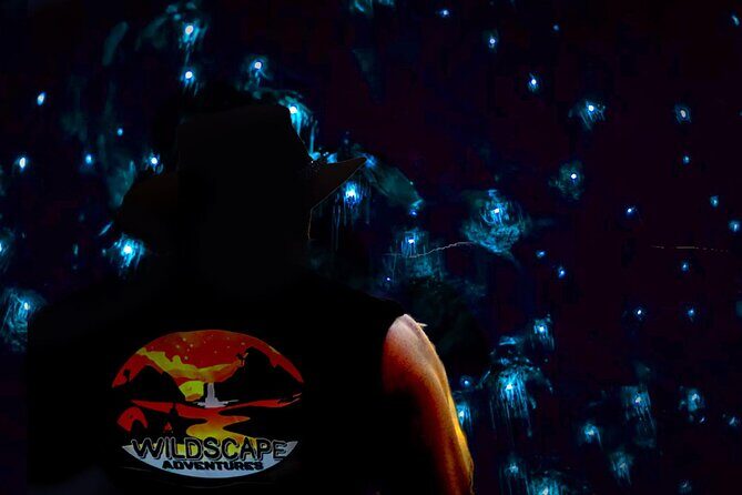 Blue Mountains Day, Sunset Tour & Glow Worms Night Adventure - What Makes This Tour Special