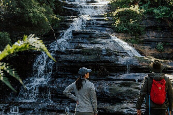 Blue Mountains Day Tour : Featherdale & Bush walk (15 ppl LUX) - Frequently Asked Questions