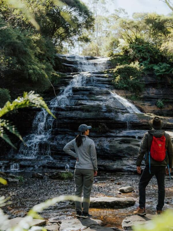 Blue Mountains Day Tour -Featherdale & Scenic World (15 MAX) - FAQ