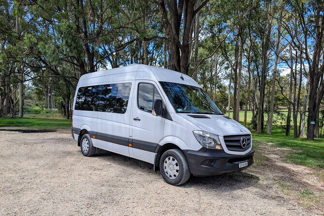 Blue Mountains Day Tour -Scenic World, Koalas & Roos (15 ppl LUX) - In Summary