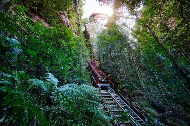 Blue Mountains day tour with Cruise, Scenic world pass & Zoo - Key Points
