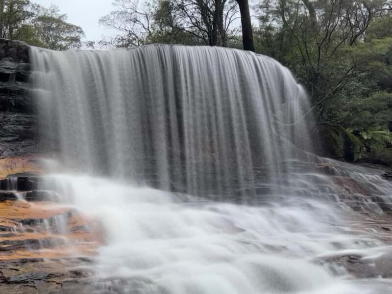 Blue Mountains day tour with Cruise, Scenic world pass & Zoo - An In-Depth Look at the Blue Mountains Day Tour