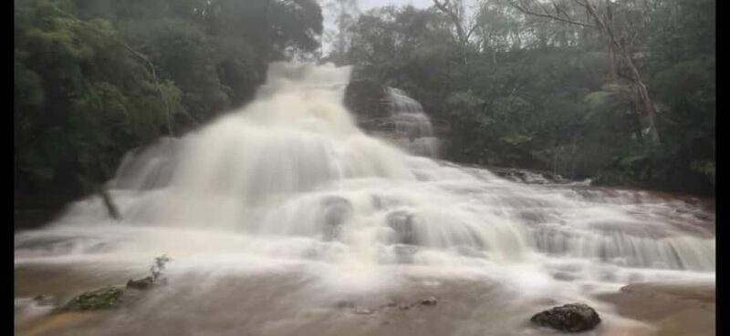 Blue Mountains day tour with Cruise, Scenic world pass & Zoo - Final Words