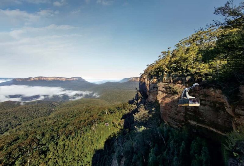 Blue Mountains day tour with Cruise, Scenic world pass & Zoo - Frequently Asked Questions