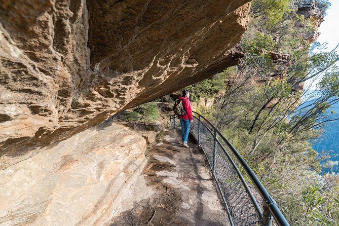 Blue Mountains Deluxe Small-Group Eco Wildlife Tour from Sydney - Who Will Love This Tour?