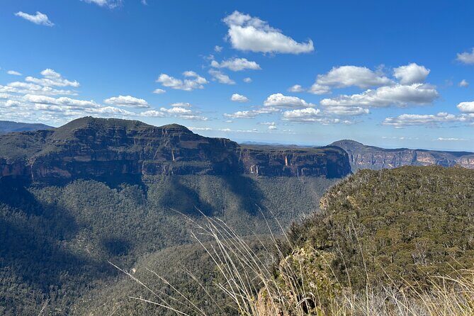 Blue Mountains Full Day Guided Tour - Introducing the Blue Mountains Full Day Guided Tour
